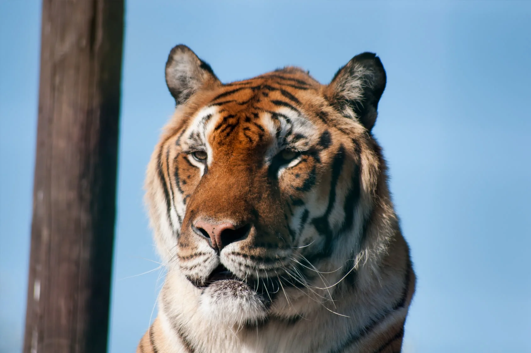 zoo112.webp