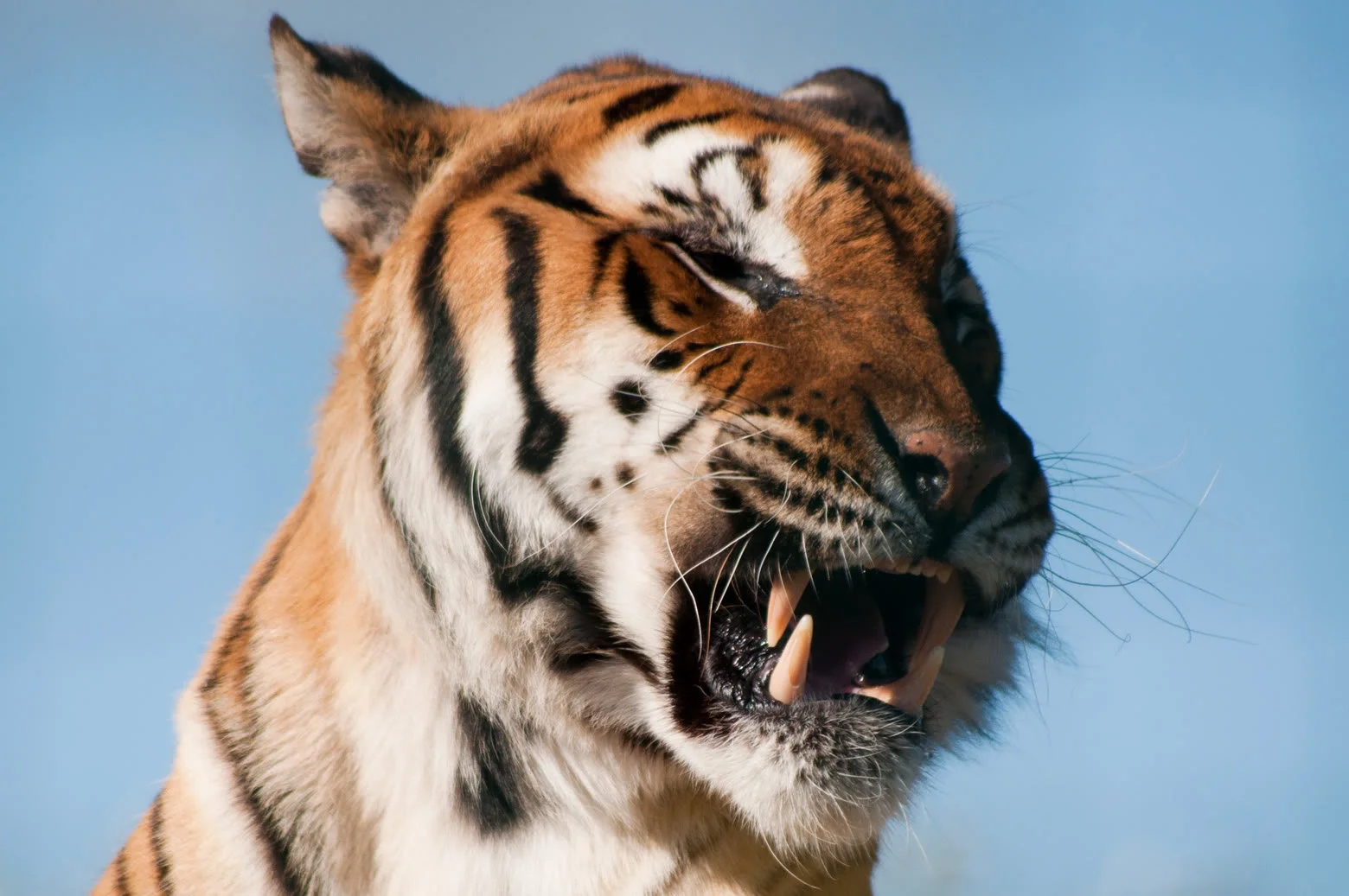 zoo117.webp