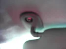 IMAG0002.webp