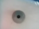 IMAG0003.webp