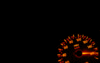 backispeedo.gif