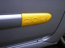 yellow badge 002.webp
