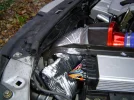 cold5.webp
