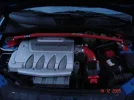 Viper1.webp