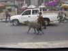 Nigeria_dog_walk_3.jpg