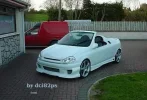 clio roadster.webp