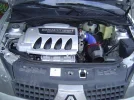 bay2.webp