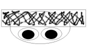 bfz.webp