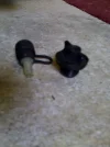 gear2.webp