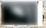 pallets_1.webp