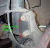 pic.webp