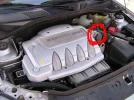 clio10l.webp