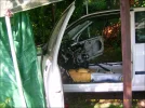 car1231.webp