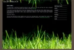 spx_file075.webp