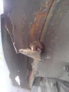rust1.webp