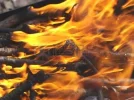 4801075-burning-fire-wood-in-a-brazier-for-a-shish-kebab.webp