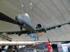 SAM_0898_zps12ebd479.jpg