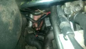 IMAG0654.webp