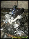 213354-vi-1.webp