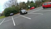 e4a6yqe8.webp