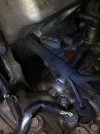 IMG-20160307-WA0000.webp