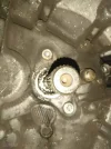 12837760_10206080664516599_509323231_o.webp