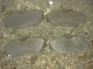 BREMBO PAD FACES 16K.webp BREMBO PAD FACES 16K.webp