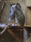 AAC7xzU.webp