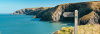 A1CFDEE9D1474DB49633D3813F55F4DF.jpg