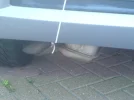 DSC00170.webp