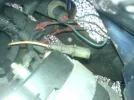alternator plug.webp