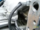 oil.webp