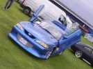 S5030249.webp