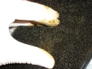 work pictures 024 (Small).webp