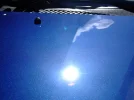Corrected Bonnet.webp