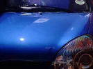 Corrected Bonnet3.webp