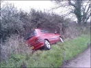 roll over roll over.webp