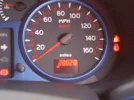 speedo.webp