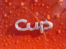 DSC02118.webp