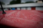 14181989659_197585658f_c.webp