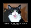 what_has_been_seen_cannot_be_unseen_695.webp