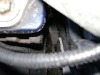 DSC00380.jpg
