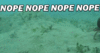 tumblr_inline_n0wh8w370K1rt6qr4.gif