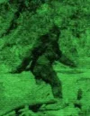 images?q=tbn:ANd9GcSjULuw8caMMSehfLzU0EJibR31iKfjWOvkT7AyygymtLO-pLLu.webp