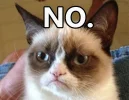 Grumpy_Cat_No_01.webp