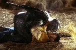 Jeepers-Creepers-2-jeepers-creepers-20248738-1200-786.webp