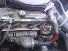 DSC00030.webp