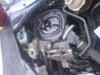 DSC00025.jpg