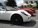 lotus1.webp