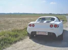 lotus3.webp